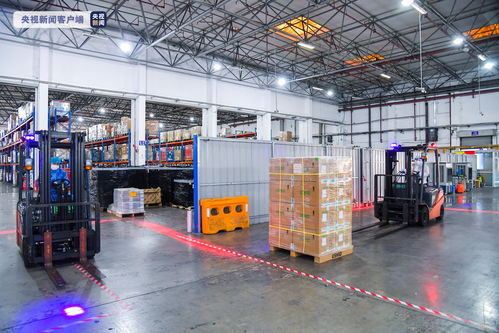 日均货运航班超百架，日提货量恢复至2000吨——上海空港加速运转保畅稳链